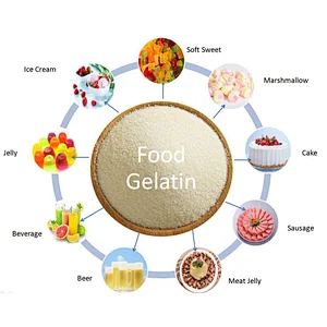 Wholesale Halal Edible Gelatin Powder From Bovine Skin for Gummies 150-270 Bloom